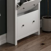 Josefa 12 Pair Shoe Storage Cabinet