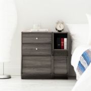 Denny Stackable 2 Drawer Storage Chest