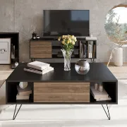 Kayce 4 Legs Coffee Table with Storage