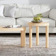 Picture of Kailie modern natural wood Side table 